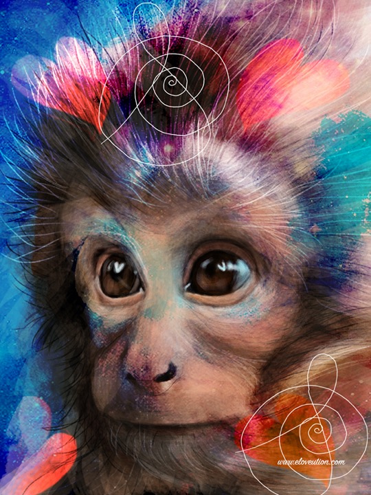 whatlovesays_May_20_2026
